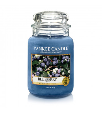 Yankee Candle - BLUEBERRY 623g